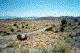 Utah outback