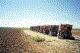 Cadillac Ranch