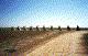 Cadillac Ranch