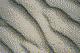 White Sands Closeup 1